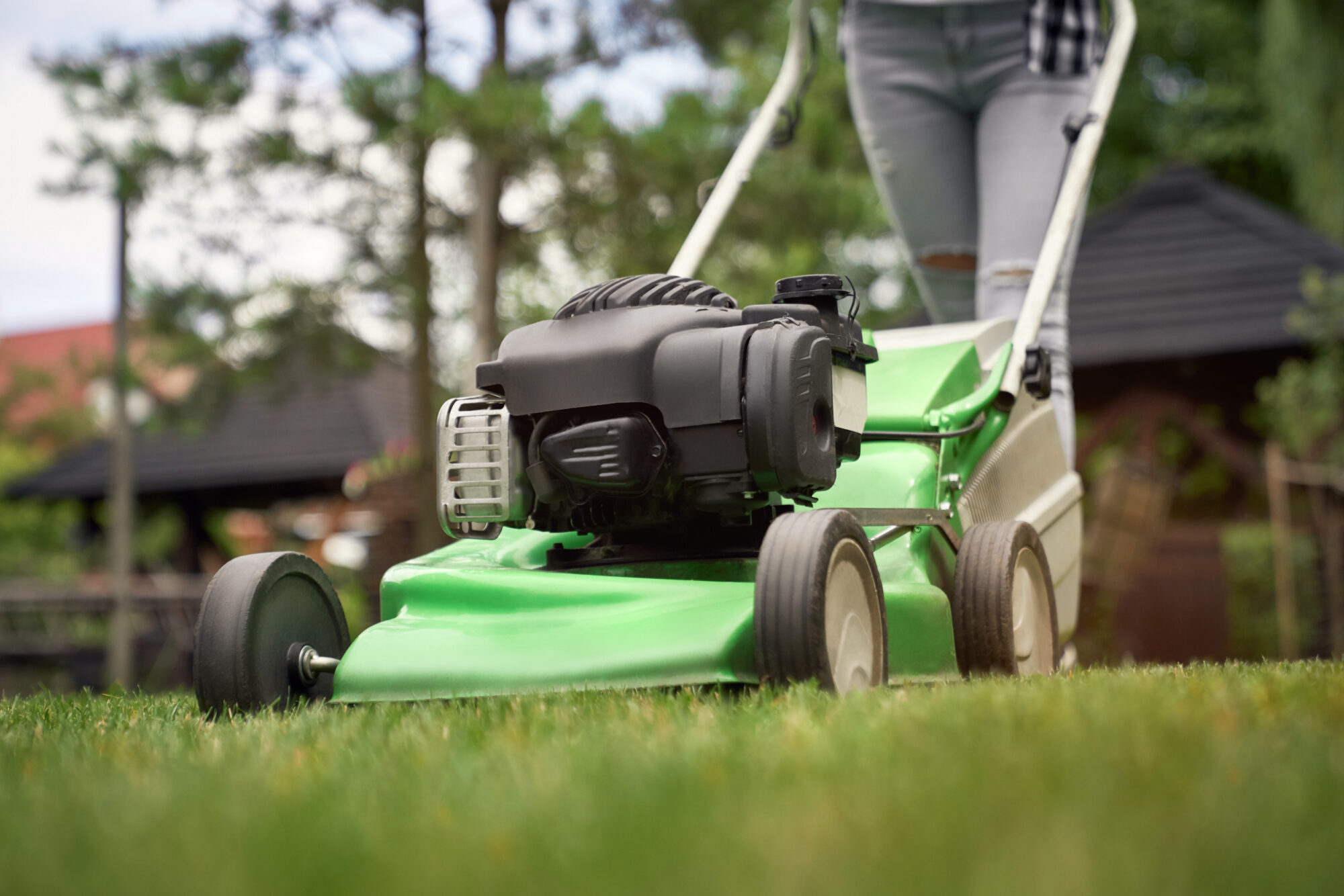 Montageservice Hausmeisterservice Gartenarbeit und Reinigungsservice Westerwald Montabaur Wirges Ransbach-Baumbach Höhr Grenzhausen Siershahn Dernbach Selters Montageservice Hausmeisterservice Gartenarbeit und Reinigungsservice Westerwald Montabaur Wirges Ransbach-Baumbach Höhr Grenzhausen Siershahn Dernbach Selters